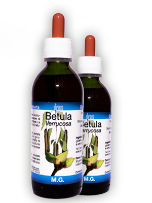 BETULA Verrucosa M.G. • 50 / 150 ml