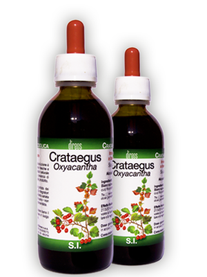 CRATAEGUS Oxyacantha T.M. • 50 / 150 ml