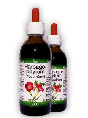 HARPAGOPHYTUM Procumbens T.M. • 50 / 150 ml