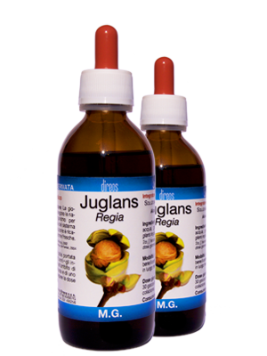 JUGLANS Regia M.G. • 50 / 150 ml
