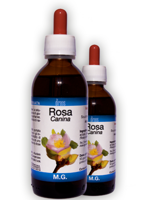 ROSA Canina M.G. • 50 / 150 ml