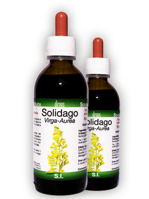 SOLIDAGO Virga-Aurea T.M. • 50 / 150 ml