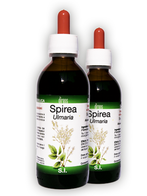 SPIREA Ulmaria T.M. • 50 / 150 ml